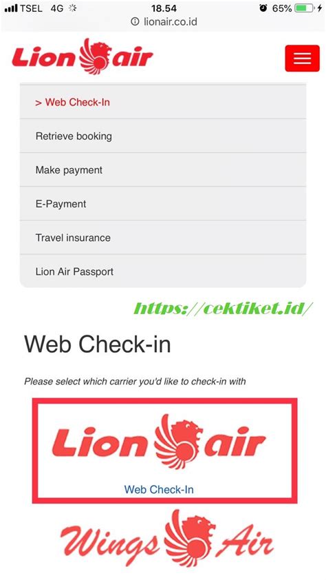 check in online lion